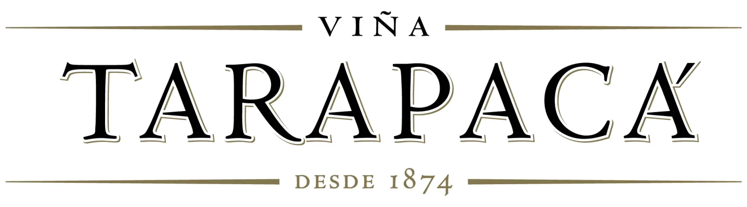 logo-VT